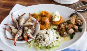 Tableau_Seafood App Sampler (520x347)